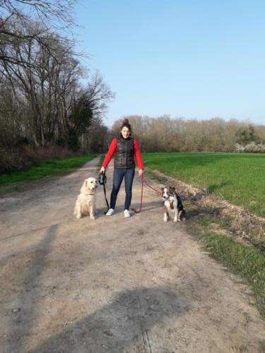 Magick et Louxy en promenade